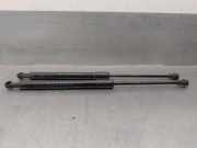 Gasdruckfeder Set Vorne 51237129190 BMW 3 serie (E93) Cabrio 320i 16V (N43-B20A)