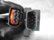 Gürtelschnalle 34217304 Ford Fiesta 7 Schrägheck 1.1 Ti-VCT 12V 85 (XYJC)