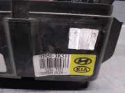 Sicherungskasten 919503K540 Hyundai Sonata Limousine 2.0 CRDI VGT 16V (D4EA)