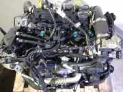 Motor XVJD Ford EcoSport (JK8) SUV 1.5 TDCi EcoBlue (XVJD)