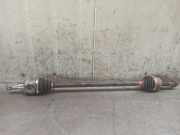 Antriebswelle Links Hinten 4233042050 Toyota RAV 4 III (_A3_) 2.2 D 4WD (ALA30_)