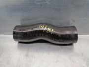 Schlauch 0382LK Citroën Jumper (U9) Ch.Cab/Pick-up 3.0 HDi 160 (F30DT(F1CE0481D))