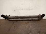Ladeluftkühler 8200245599 Renault Clio II (BB/CB) Schrägheck 1.5 dCi 68 (K9K-714)