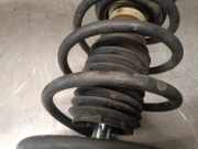 Stoßdämpfer Rechts Vorne A1693201730 Mercedes-Benz CLASE B Sports Tourer (W245) B 180 CDI (245.207)