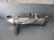 Agr Kühler 1C1Q9F464AD Ford III (B5Y) 2.0 TDCi