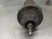 Stoßdämpfer Rechts Hinten 1H0513031D Volkswagen Golf III (1H1) Schrägheck 1.9 TDI (AFN) AFN