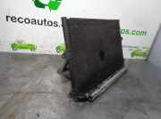 Motorhaube 6757255 Ford BERLINA/TURNIER CLX Berlina