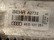 Radiator 4E0121251 Audi A8 (D3) Limousine 4.0 TDI V8 32V Quattro (ASE)