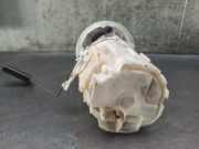 Tankschwimmer 8200288808 Renault GRAND SCENIC II (JM0/1_) 1.9 dCi (JM14)