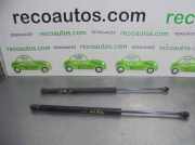 Gasdruckfedern Set Hinten 6896002031 Toyota Corolla (E12) Schr?gheck 1.4 D-4D 16V (1NDTV)