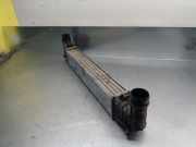 Ladeluftkühler 95VW9L440AA Ford Galaxy (WGR) Großraumlimousine 1.9 TDI CL,GLX (AHU)