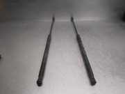 Gasdruckfedern Set Hinten BM51A406A10AE Ford FOCUS LIM. 1.0 EcoBoost CAT