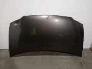 Motorhaube 4674627 Chrysler Voyager/Grand Voyager Großraumlimousine 3.8 i V6 4x4 (EGH)
