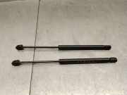Gasdruckfeder Set Vorne 654701MA0A Infiniti 50 D