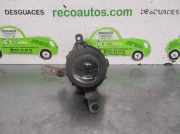 Nebelscheinwerfer Links Vorne 9006HB4 Hyundai ELANTRA (XD) 2.0 CRDi CAT