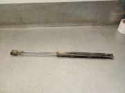 Gasdruckfedern Set Hinten 77FBB404K04AD Ford Fiesta 1 Schrägheck 1.1 L,GL,S,Ghia (GLA(CVH))