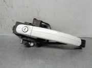 Türgriff Außen Links Vorne 1738727 Ford FOCUS LIM. (CB8) 1.6 TDCi CAT