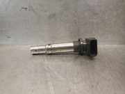 Außenspiegel Links 0154263 Renault (CO6) 1.2