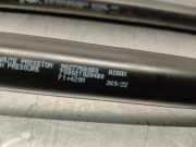 Gasdruckfedern Set Hinten 9827758080 Peugeot II (UB_, UP_, UW_, UJ_) 1.2 PureTech 100