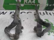 Motorhaubescharnier Renault 21 (L48) Limousine 1.7 (F2N-710)