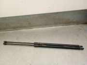 Gasdruckfedern Set Hinten 51927230 Fiat Doblo (263) Großraumlimousine 1.6 D Multijet (263.A.7000)
