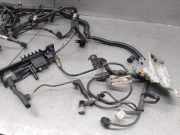 Motor G6DA Ford Focus C-Max Großraumlimousine 2.0 TDCi 16V (G6DA)