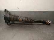 Stoßdämpfer Links Hinten LR078649 Land + Range Rover Discovery Sport (LC) Geländewagen 2.0 TD4 180 16V (204DTD)
