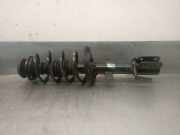 Stoßdämpfer Rechts Vorne 543024593R Dacia Sandero III Schrägheck 1.0 TCe 90 12V (H4D-470(H4D-E4))