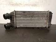 Ladeluftkühler 1498987080 Peugeot Expert (G9) Van 1.6 HDi 90 (DV6UTED4(9HU))