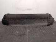 Ladeluftkühler 17513453726 BMW X3 (E83) SUV xDrive30d 24V (M57N2-D30(306D3))