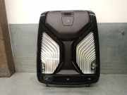 Innenbeleuchtung 5A0F61301 BMW 3 serie (G20) Limousine 320d 2.0 TwinPower Turbo 16V Mild Hybrid (B47-D20B)