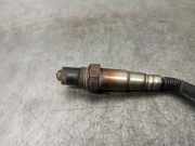 Stoßdämpfer Links Hinten 5T1618080AA Ford (TC7) 1.8 TDCi CAT