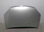 Motorhaube GRIS Tata Indica/Mint Schrägheck 5-drs 1.4 TD V2 (DiCOR 05) DiCOR 05