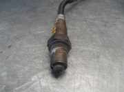 Kühlerventilator 4569631 Hyundai Atos Schrägheck 1.0 12V Multi (G4HC-E)