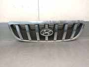 Grill 86250H1040 Hyundai Terracan SUV 2.9 CRDi 16V (J3)