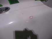 Motorhaube BLANCO Ford III (GFJ) 1.4