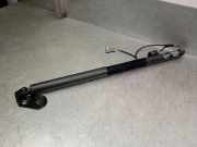 Gasdruckfedern Set Hinten 4G8827851F Audi RS7 Sportback (4GA/4GF) Schrägheck 5-drs 4.0 V8 TFSI Performance 32V (CWUC)