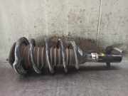 StoÃŸdÃ¤mpfer Links Vorne 22080352 Rover 200 (XW) SchrÃ¤gheck 214 Si,SLi MPi 16V (14K4F)