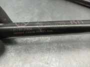 Gasdruckfedern Set Hinten 81770J7800 Kia Xceed SUV 1.0 T-GDi 12V (G3LC)