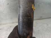 Stoßdämpfer Rechts Hinten 7701066495 Opel Vivaro Bus 2.5 DTI 16V (G9U-730)