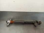 Stoßdämpfer Rechts Hinten 55321S0600 Hyundai i30 (PDEB5/PDEBB/PDEBD/PDEBE) Schrägheck 2.0 N Turbo 16V Performance (G4KH)