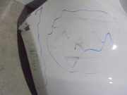 Schalthebelknopf Kia Sportage (K0) Geländewagen 2.0 16V 4x4 (FED)