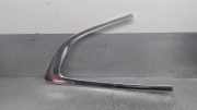 Zierleiste ACHTER 51357196419 BMW 5 serie Gran Turismo (F07) Schrägheck 530d xDrive 24V (N57-D30A)