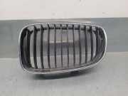 Grill 51137322209 BMW 1 Descapotable (E88) 118 d