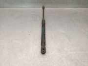 Gasdruckfeder Set Vorne 1T0823359D Volkswagen Touran (1T3) GroÃŸraumlimousine 1.6 TDI 16V (CAYC(Euro 5)) CAYC(Euro 5)
