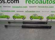 Gasdruckfedern Set Hinten 13338367 Opel Meriva (B) Großraumlimousine 1.3 CDTI 16V (A13DTE)
