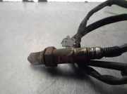 Stoßdämpfer Rechts Hinten 96454523 Daewoo / Chevrolet CHEVROLET 2.0 Diesel CAT