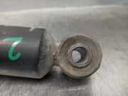 Stoßdämpfer Links Hinten 5206R7 Peugeot 306 BERLINA 3/4/5 PUERTAS (S2) XR