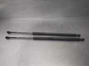 Gasdruckfedern Set Hinten 51248402405 BMW X5 (E53) SUV 3.0d 24V (M57N-D30(306D2))