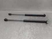 Gasdruckfedern Set Hinten 51247288721 BMW 5 serie Gran Turismo (F07) Schrägheck 530d xDrive 24V (N57-D30A)